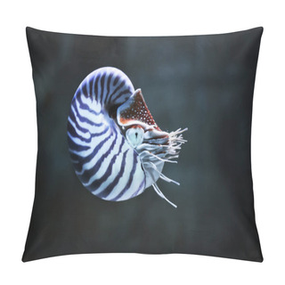 Personality  Nautilus Pompillius Pillow Covers