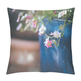 Personality  Gardening In Spring: Cute White And Pink Flowers In A Blue Pot.  Pillow Covers