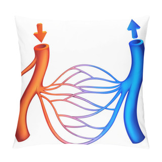 Personality  Blood Circulation Pillow Covers