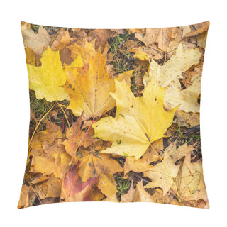 Personality  Orange And Yellow Fallen Maple Leaves In The Sunlight. Pillow Covers