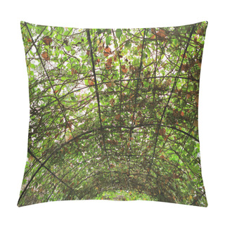 Personality  Country Style Transparent Roof Covered With Ivy Pillow Covers