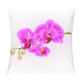 Personality  Orchid Purple Phalaenopsis Closeup Stem With Flowers And  Buds   Vintage  Vector Editable IllustrationOrchid Purple Phalaenopsis Closeup Stem With Flowers And  Buds   Vintage  Vector Editable Illustration Hand Draw Pillow Covers