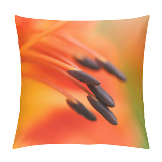Personality  Macro Stamens Of Orange Lily Pillow Covers