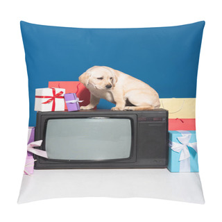 Personality  Golden Retriever Puppy On Vintage Tv Near Gifts And Purchases On Blue Background Pillow Covers