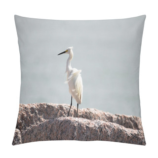 Personality  Snowy Egret Pillow Covers