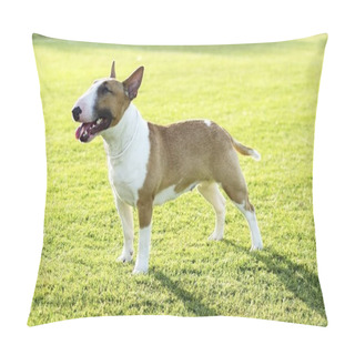Personality  A Small, Young, Beautiful, Red And White Bull Terrier Standing On The Lawn Looking Playful And Cheerful. Pillow Covers