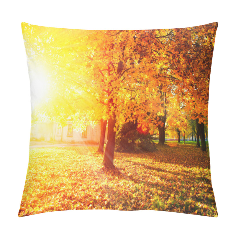 Personality  Fall. Autumnal Park. Autumn Trees And Leaves Pillow Covers