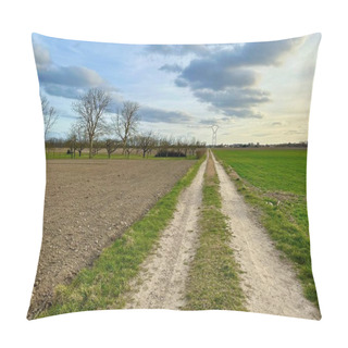 Personality  Tranquil Country Path: A Rural Journey Through The Fields Of Marckolsheim To Mackenheim In Alsace Pillow Covers