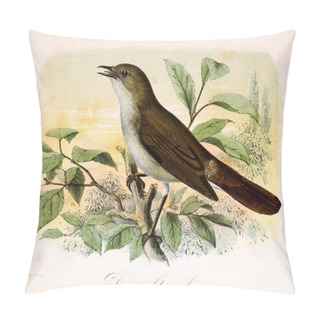 Personality  Illustration Of A Bird. Onze Vogels In Huis En Tuin Pillow Covers