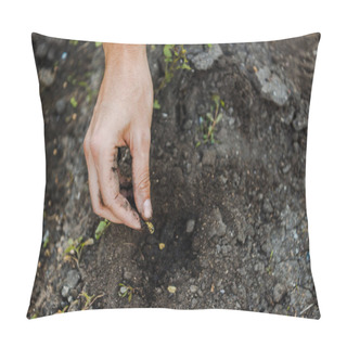 Personality  Cropped Image Of Farmer Planting Cardamom Seeds At Farm Pillow Covers