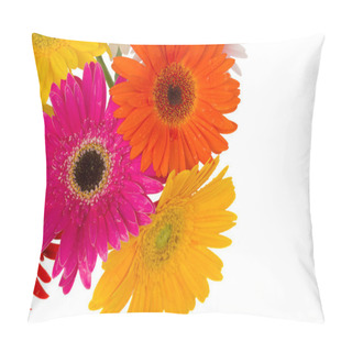 Personality  Border Of Gerbera Flowers Pillow Covers