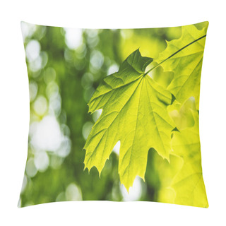Personality  Green Maple Leaves, Summer Natural Background, Selective Focus Pillow Covers