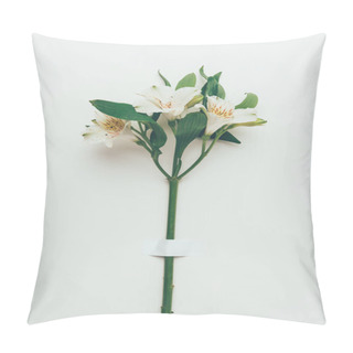 Personality  Close-up View Of Beautiful Tender Lily Flowers With Green Leaves On Twig On Grey Pillow Covers