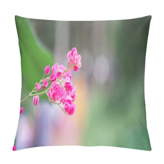 Personality  Selective Focus Coral Vine, Mexican Creeper, Chain Of Love, Pink Vine, Honolulu Creeper Pillow Covers