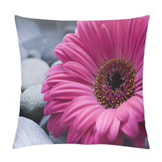 Personality  Gerbera Daisy Pillow Covers