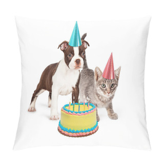 Personality  Puppy And Kitten With Lit Candles Pillow Covers