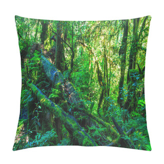 Personality  Big Trees In Primeval Forest Pillow Covers