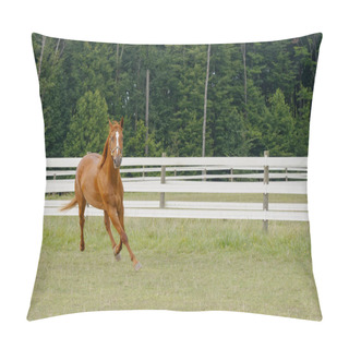 Personality  Horse In Fenced Pasture Galloping Around Fencing Pillow Covers