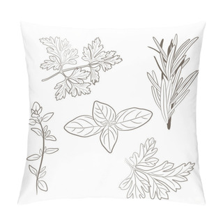 Personality  Vector Fresh Parsley, Thyme, Rosemary, And Basil Herbs. Aromatic Pillow Covers