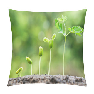 Personality  Trees Growing On Fertile Soil Pillow Covers