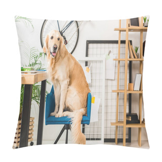 Personality  Funny Dog Sitting On Blue Chair At Home And Looking Away Pillow Covers