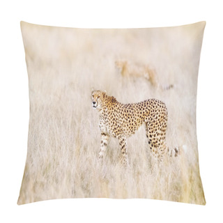 Personality  A Pair Of Cheetahs Move Steathily Through The Long Grass Of The Masai Mara In Search Of Prey. Selective Focus On Front Animal.  Pillow Covers