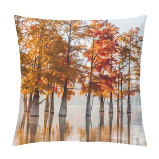 Personality  Taxodium Distichum With Red Needles. Autumnal Swamp Cypresses And Lake With Reflection. Pillow Covers