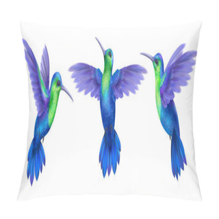Personality  Hummingbird Realistic Set Pillow Covers