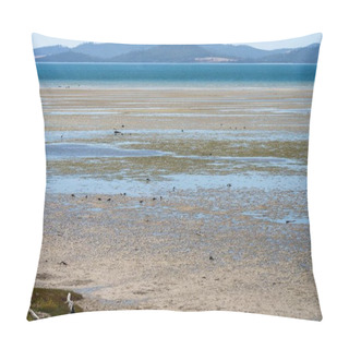 Personality  Saltmarsh In Australia With Birds And Plants In Summer Pillow Covers