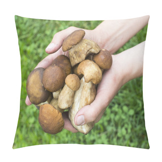 Personality  Handful Of Porcini Mushrooms  Pillow Covers