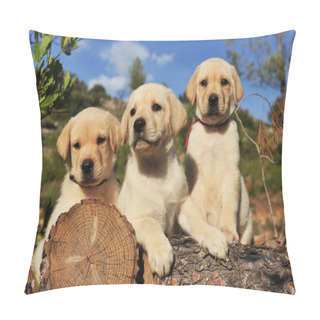 Personality  Puppies Labrador Retriever Pillow Covers