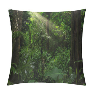 Personality  Tropical Forest With A Tree On The Background Of A Forest  Pillow Covers