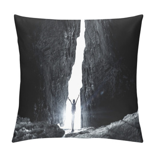 Personality  In Light Of Success Pillow Covers