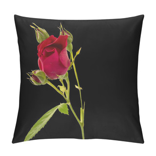 Personality  Flower Rose On A Black Pillow Covers