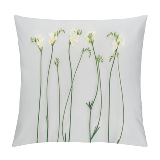 Personality  Blooming Freesia Flowers Isolated On Grey Pillow Covers
