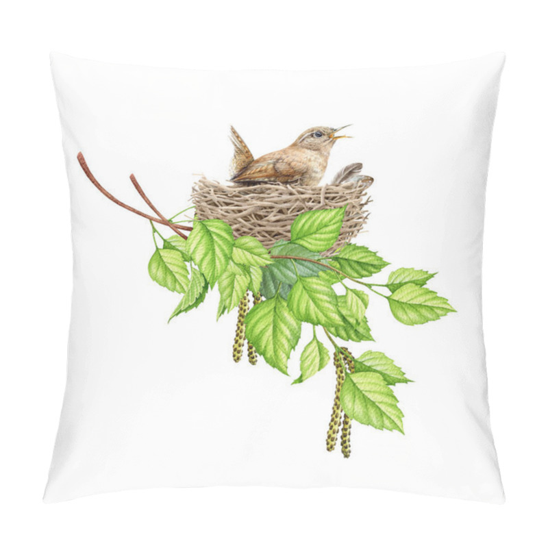 Personality  Wren bird in the nest in birch tree branches. Watercolor illustration. Realistic spring nature hand drawn element. Forest and garden small songbird bird incubates a clutch in the nest pillow covers
