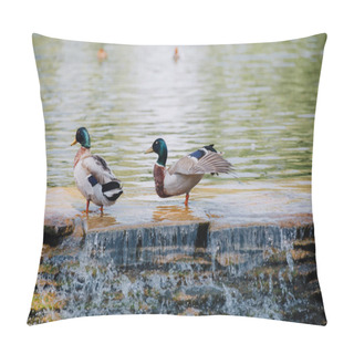 Personality  Selective Focus Of Two Ducks Standing On Shallow Water Pillow Covers
