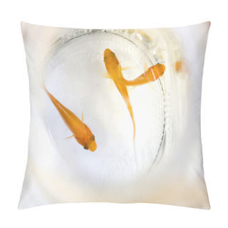Personality  Tranquil Goldfish In Clear Water Pillow Covers