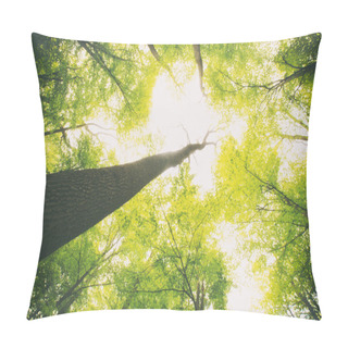 Personality  Forest With Tall Green Trees Pillow Covers
