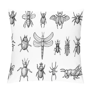 Personality  Insects Set With Beetles, Bees And Spiders Isolated On White Bac Pillow Covers