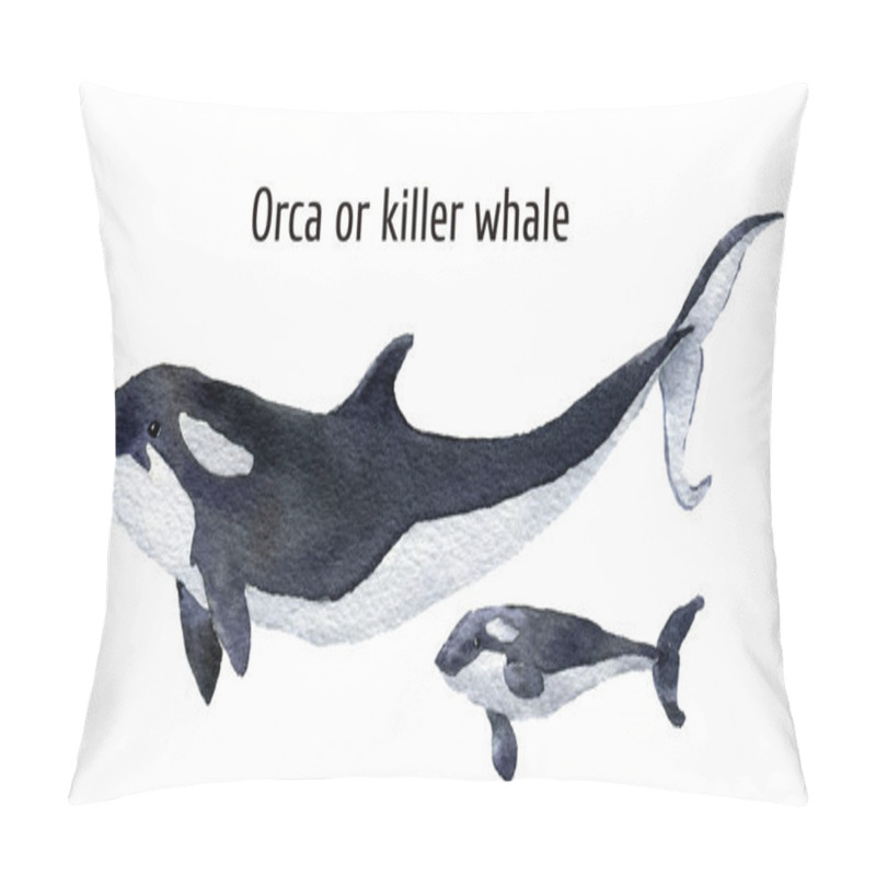 Personality  Watercolor orca whale. Killer whale isolated on white background. For design, prints, background, t-shirt pillow covers
