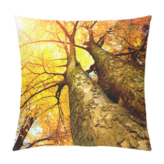 Personality  Autumn Trees. Fall Pillow Covers