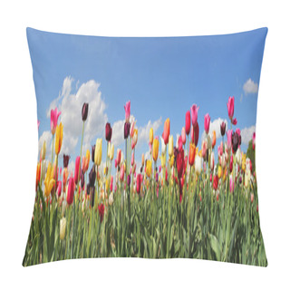 Personality  Panorama Tulip Field Pillow Covers