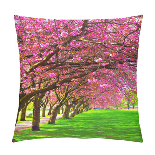 Personality  Walk Path Surrounded With Blossoming Plum Trees Pillow Covers