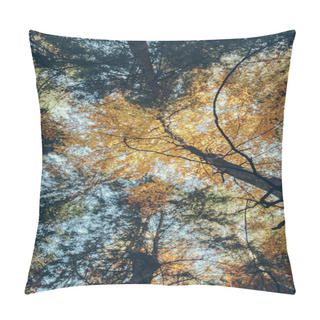 Personality  Bottom View Of Autumnal Forest In Front Of Blue Sky, Carpathians, Ukraine Pillow Covers