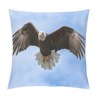 Personality  American National Symbol Bald Eagle With Wings Spread On Sunny D Pillow Covers