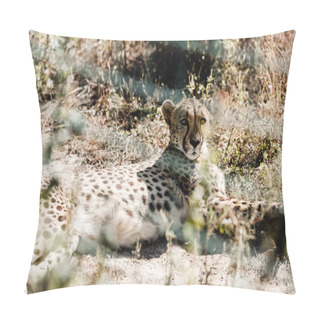 Personality  Selective Focus Of Leopard Lying On Grass Near Cage  Pillow Covers