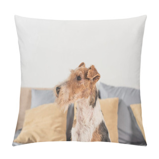 Personality  Wirehaired Fox Terrier Looking Away In Bedroom  Pillow Covers