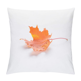 Personality  One Fallen Orange Maple Leaf Isolated On White, Autumn Background Pillow Covers