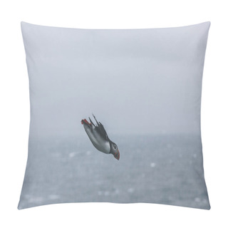 Personality  Flight Pillow Covers